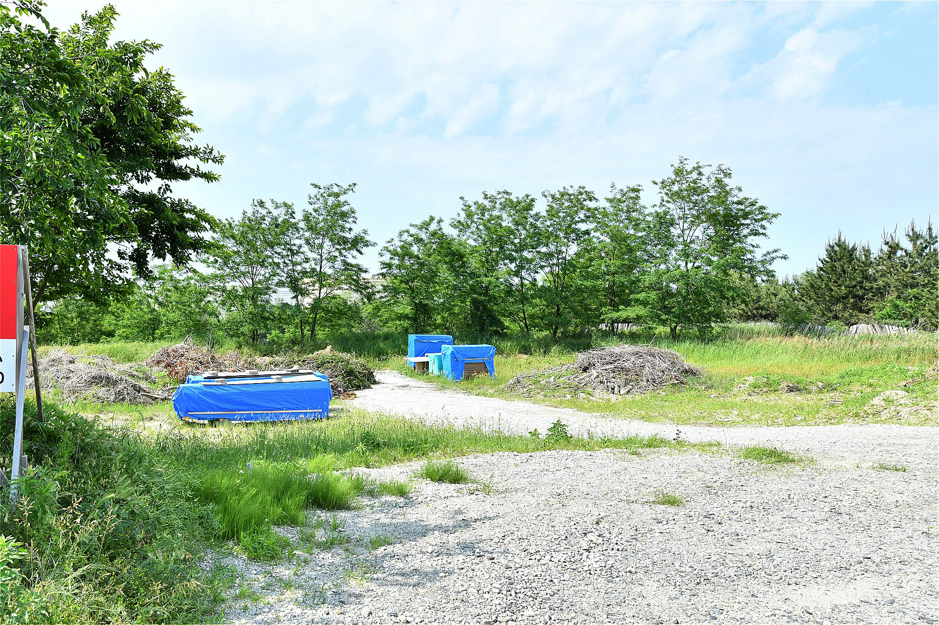 新潟県新潟市北区太郎代 大型土地 1605㎡ - 