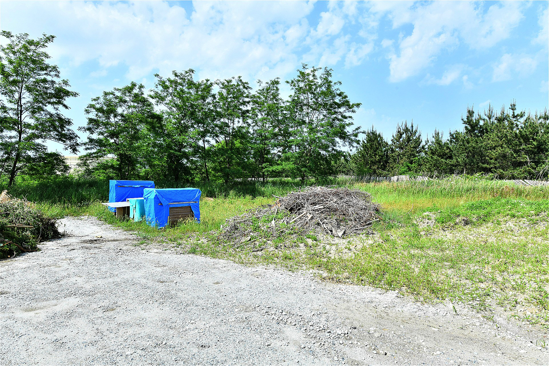 新潟県新潟市北区太郎代 大型土地 1605㎡ - 