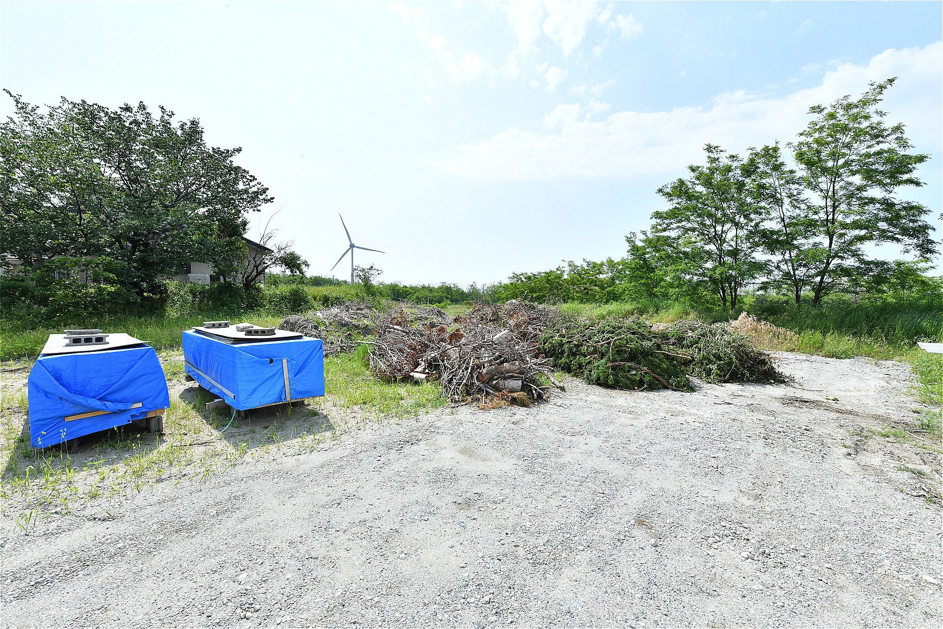 新潟県新潟市北区太郎代 大型土地 1605㎡ - 