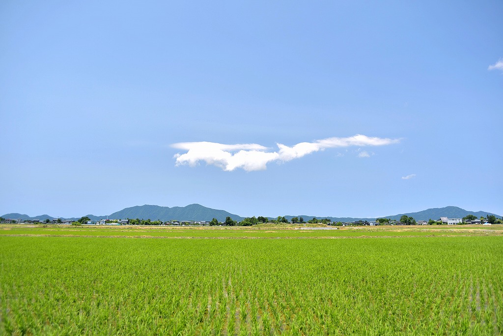 新潟県新潟市西蒲区打越甲3461番地の8LDK住宅 - 