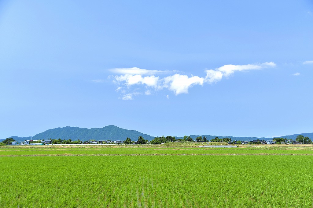 新潟県新潟市西蒲区打越甲3461番地の8LDK住宅 - 